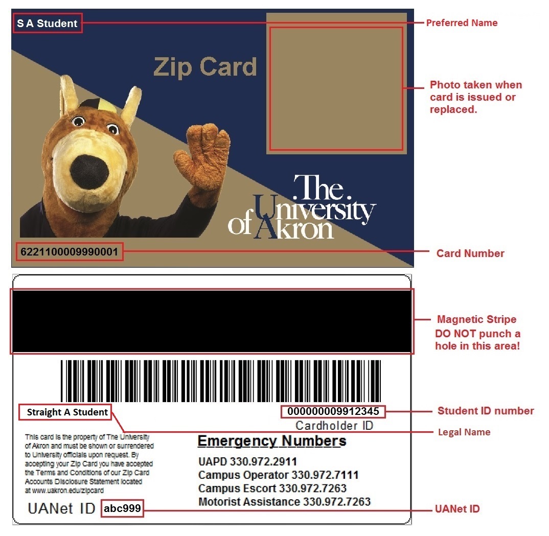 The front and back of the Zip Card, showing where various information is available